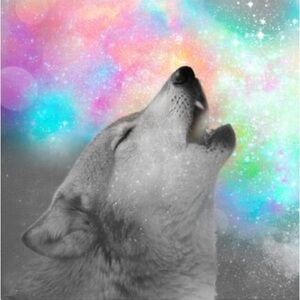 Wall tapestry wolf howling rainbow pastel
